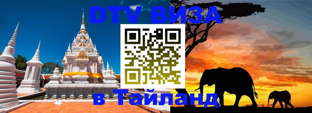 Сколько стоит DTV виза — актуальные цены, оформление даже без документов - Кемерово 
